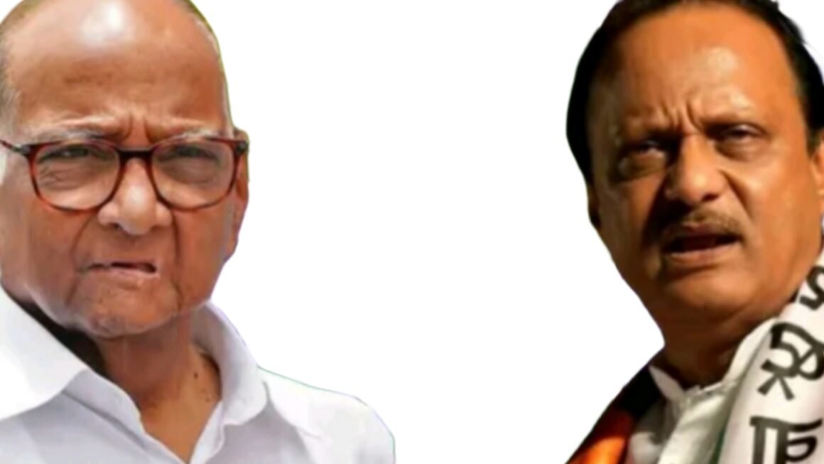 शरद पवार संपले अजित पवारांच पुनरागमन