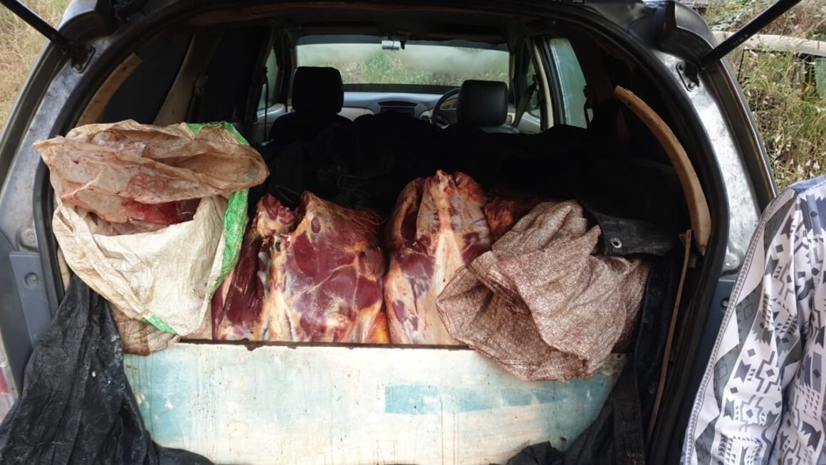 अवैधरीत्या गौमांसची वाहतुक करणाऱ्या ४ जणांना पनवेल शहर पोलिसांनी घेतले ताब्यात