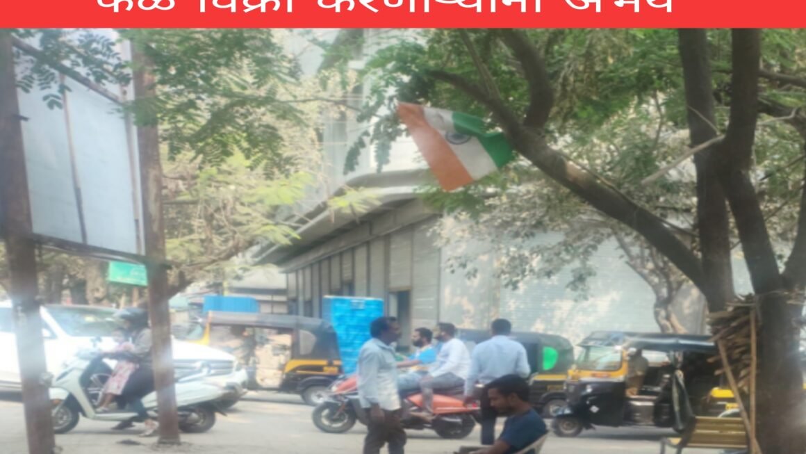 पनवेल महानगरपालिकेच्या अतिक्रमण विभागाचे बेकायदेशीररित्या नारळपाणीसह फळ विक्री करणार्‍यांना अभय