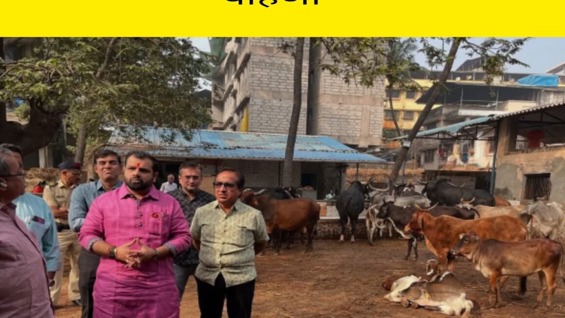 नवनिर्वाचित आ.विक्रांत पाटील यांनी केली नुतनीकरण प्रकल्पाद्वारे बांधण्यात येणार्‍या गोशाळेची पाहणी