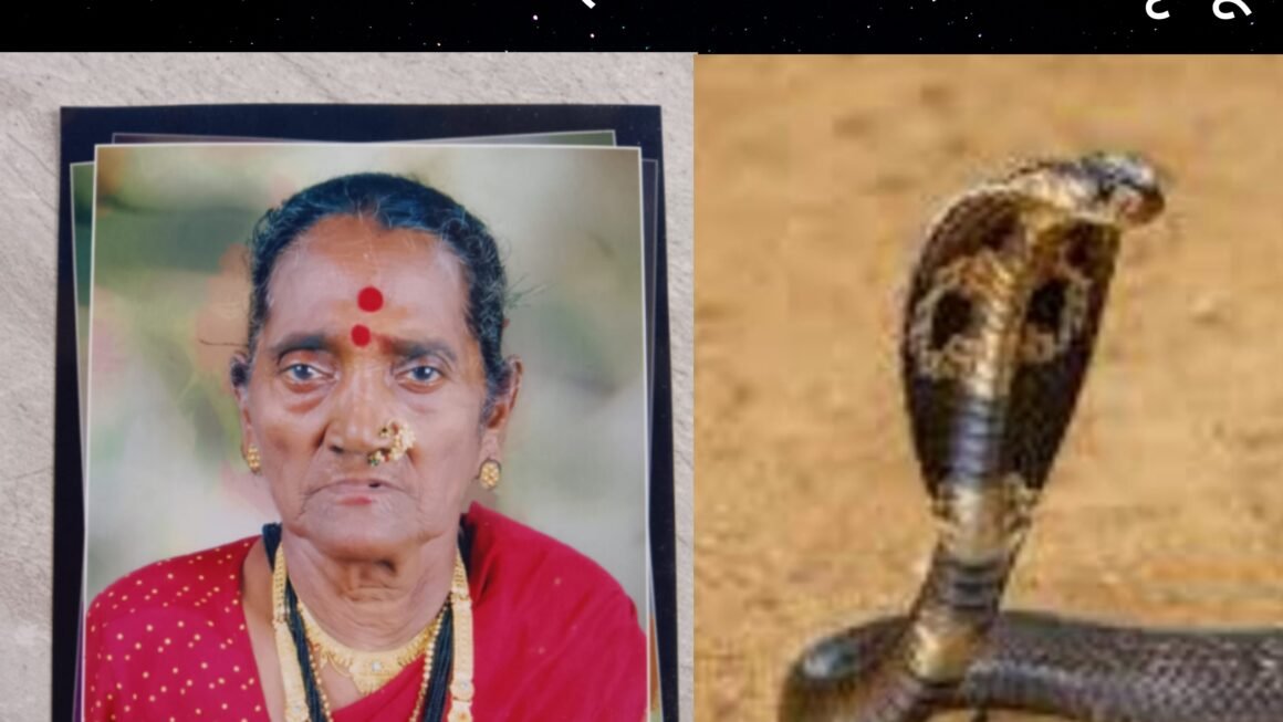 सारडे गावातील महिलेचा सर्प दंशा ने मृत्यू