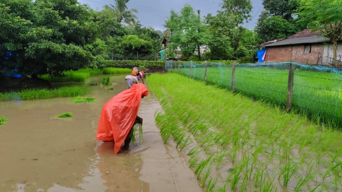 शेतकऱ्यांना आधुनिक तंत्राचे मार्गदर्शन