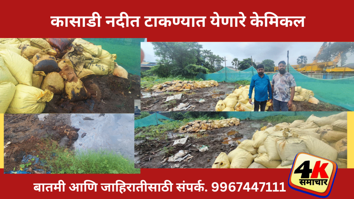 कासाडी नदीत केमिकल्सने विषप्रयोग?; मासे आणि गुरे मृत झाल्याने शिवसेना आक्रमक