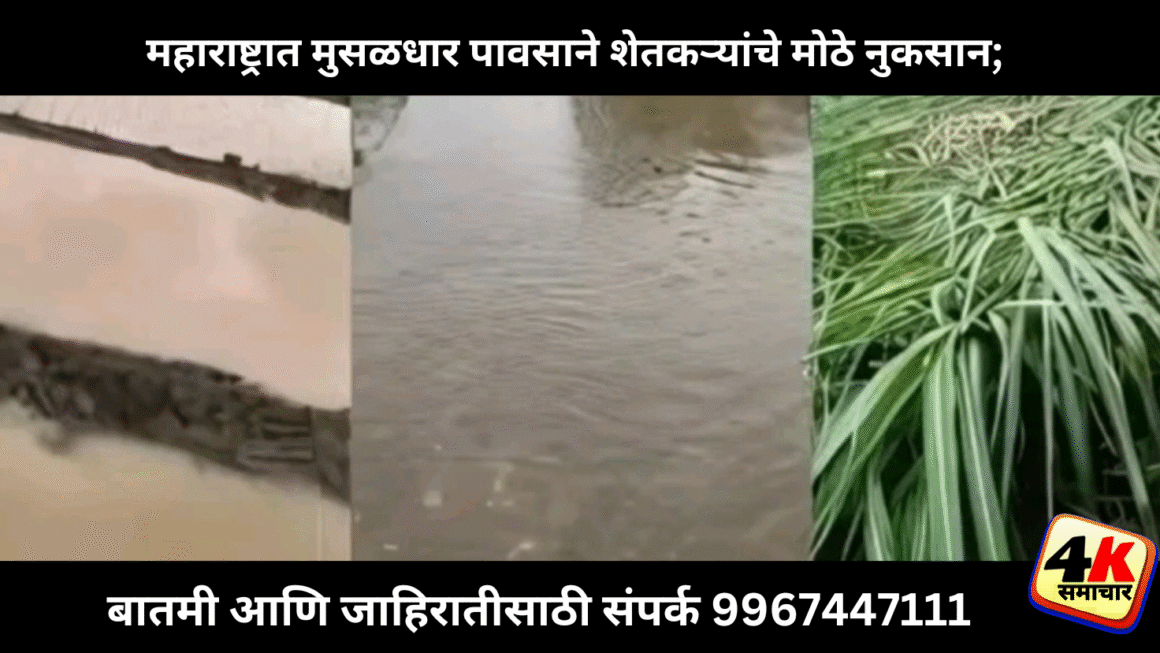 महाराष्ट्रात मुसळधार पावसाने शेतकऱ्यांचे मोठे नुकसान; परतीचा मान्सून उशिराने होणार