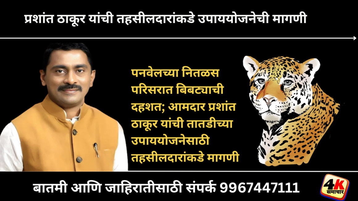 पनवेलच्या नितळस परिसरात बिबट्याचा वावरआमदार प्रशांत ठाकूर यांची तहसीलदारांकडे उपाययोजनेची मागणी