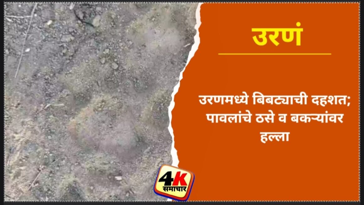 उरणमध्ये बिबट्याची दहशत; पावलांचे ठसे व बकऱ्यांवर हल्ला