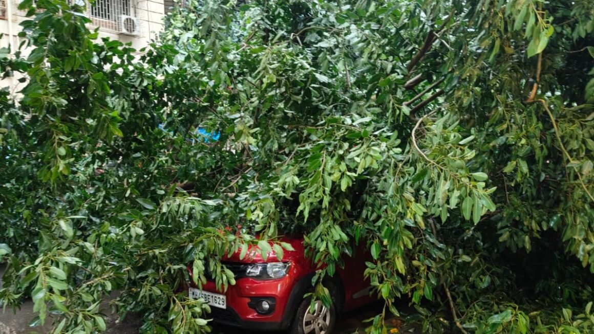 पनवेल महानगरपालिकेच्या निष्काळजी आणि बेजबाबदार कारभाराचा शिवसेना (उद्धव बाळासाहेब ठाकरे) पक्षाने केला संताप व्यक्त