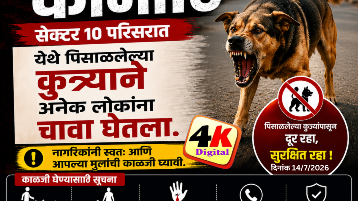 कामोठा सेक्टर-10 मध्ये मोकाट कुत्र्याचा धुमाकूळ; ११ जण जखमी.